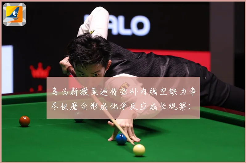 乌戈新援莱迪将弥补内线空缺力争尽快磨合形成化学反应成长观察：最新赛事动态与深度分析